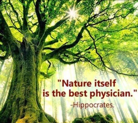 Nature to Heal